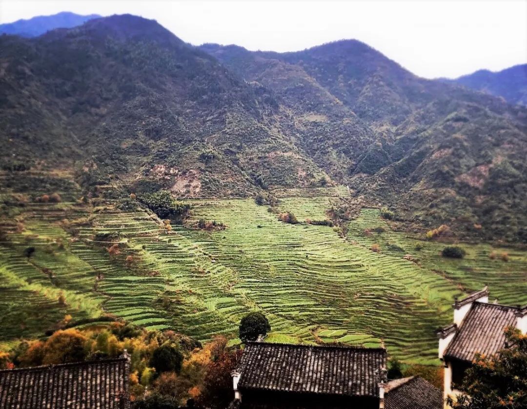 wuyuan