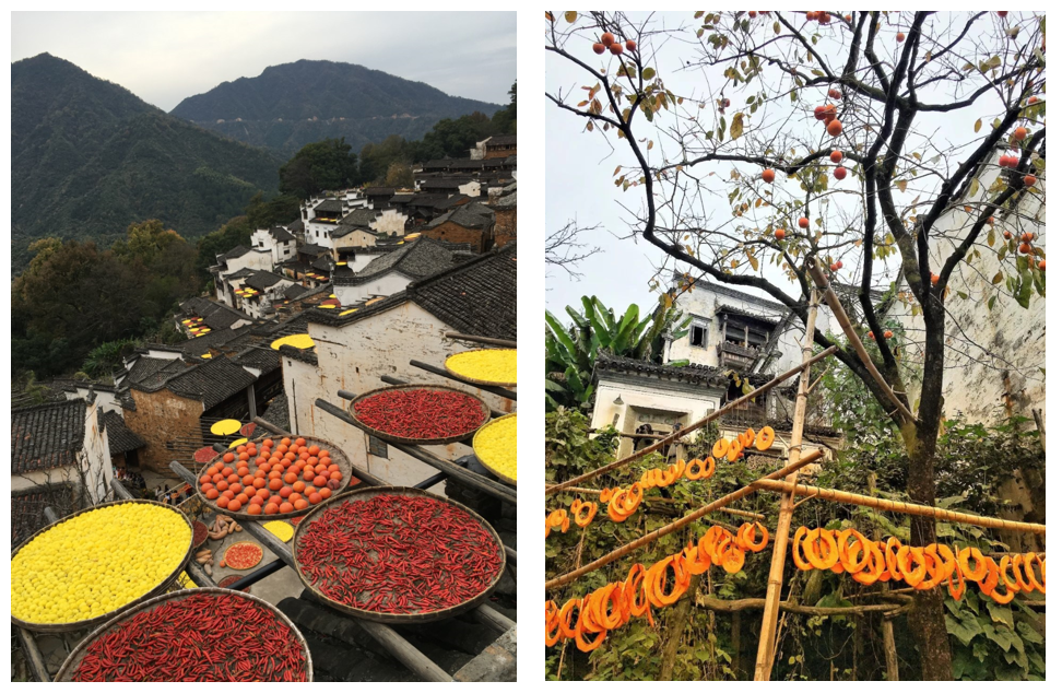 wuyuan